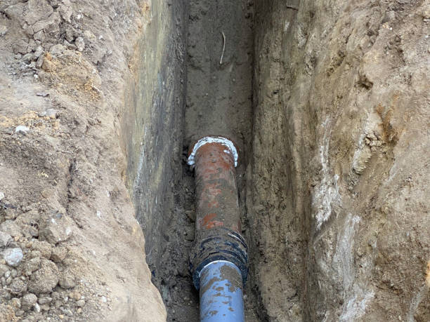 Best Water damage cleanup near me  in Spring Park, MN