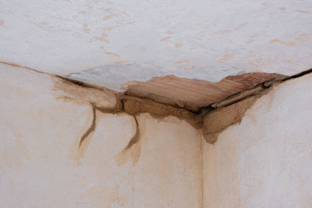 Best Residential water damage restoration  in Spring Park, MN