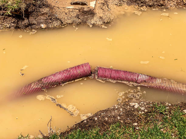 Best Water damage restoration specialists  in Spring Park, MN